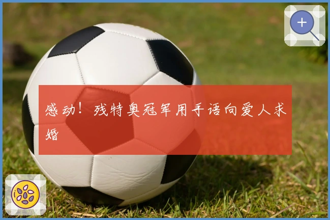 感动！残特奥冠军用手语向爱人求婚